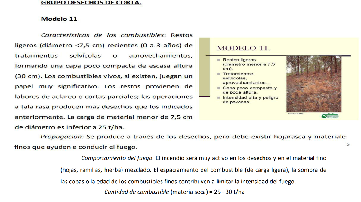 Grupo desechos de corta 1 Grupo desechos de corta 1