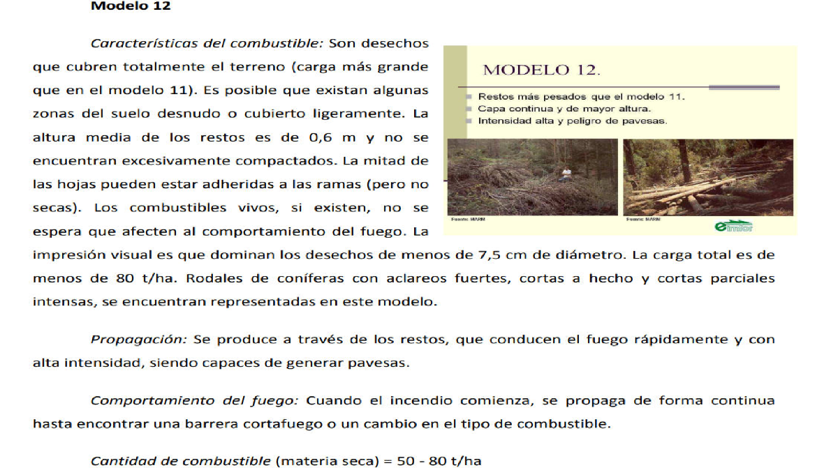 Grupo desechos de corta 2 Grupo desechos de corta 2