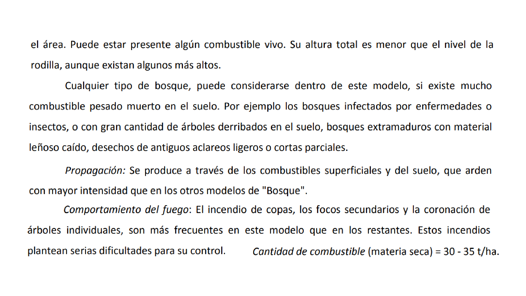 Grupo hojarasca bajoarbolado 4 Grupo hojarasca bajoarbolado 4