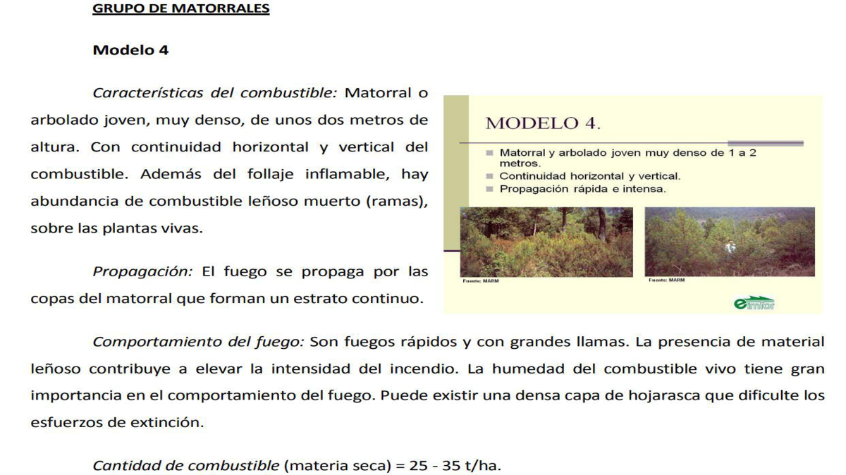 Grupo Matorrales 1 Grupo Matorrales 1