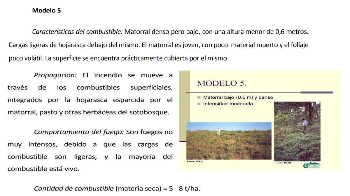 Grupo Matorrales 2 Grupo Matorrales 2