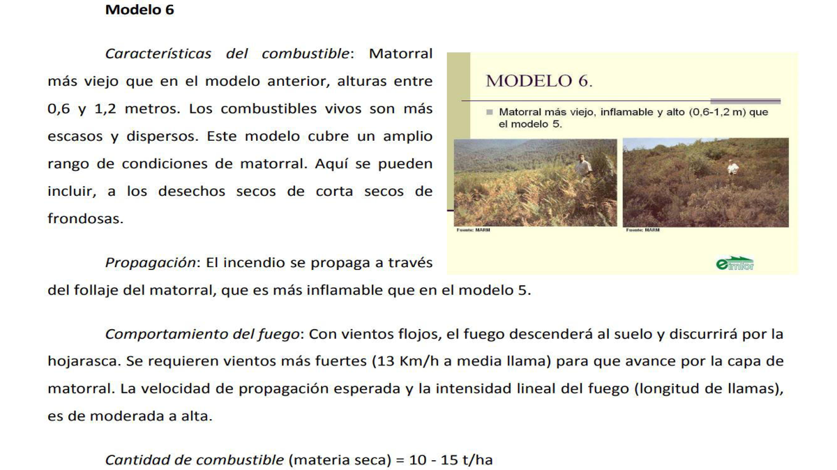 Grupo Matorrales 3 Grupo Matorrales 3