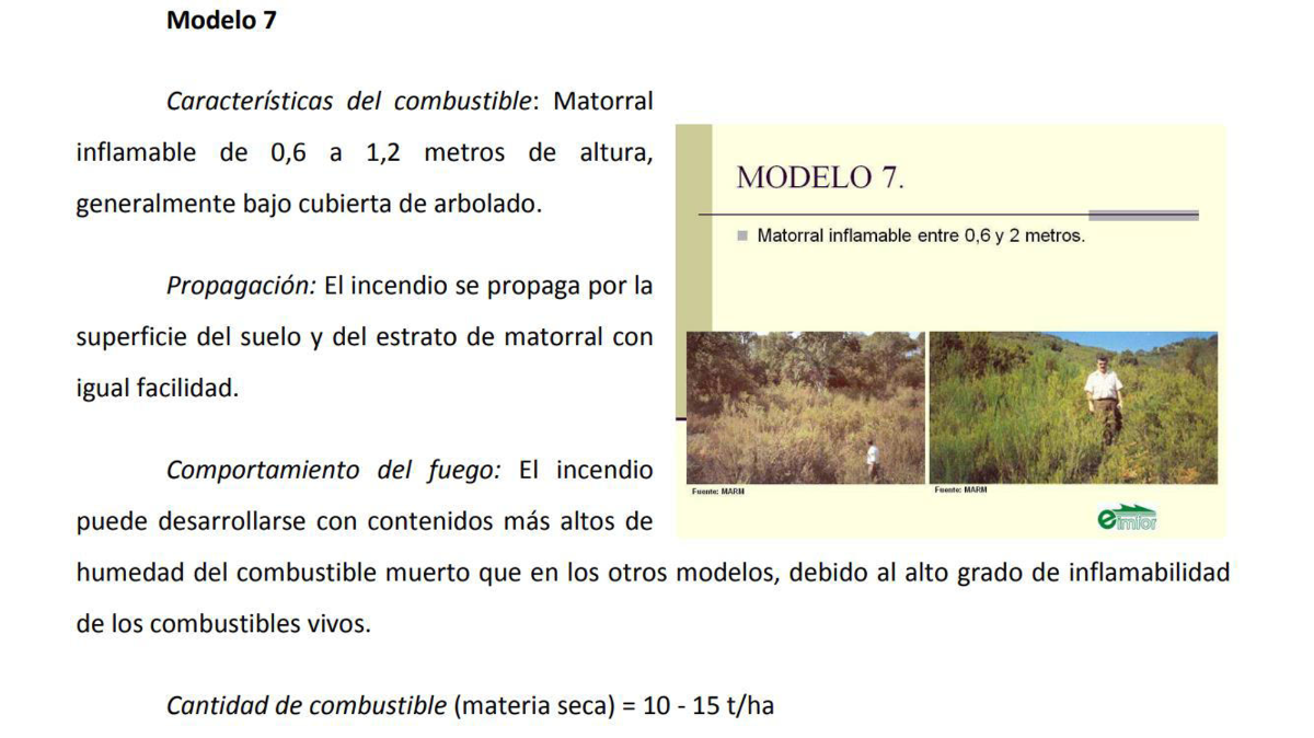 Grupo Matorrales 4 Grupo Matorrales 4