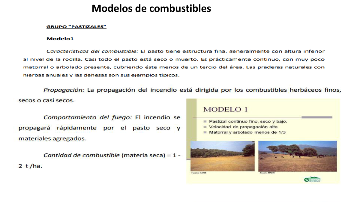 Grupo Pastizales 1 Grupo Pastizales 1