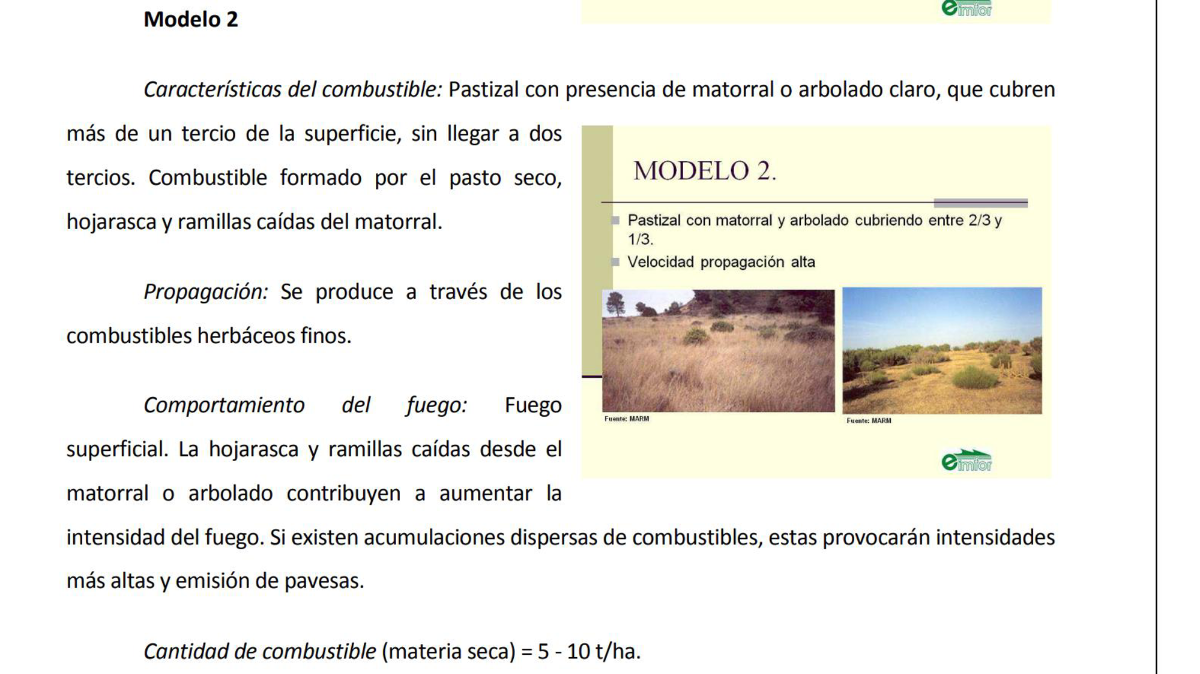 grupo pastizales 2 grupo pastizales 2