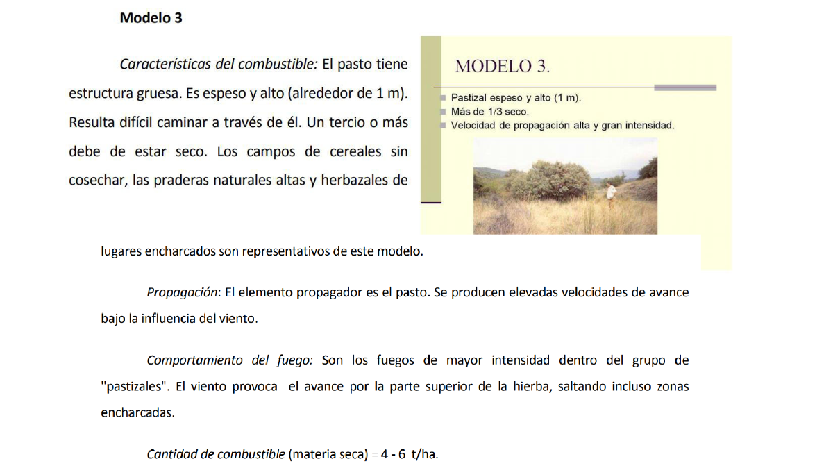 grupo pastizales 3 grupo pastizales 3